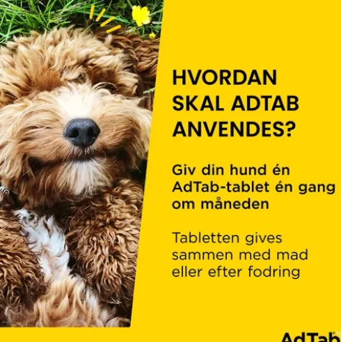 AdTab til hunde 22 til 45 kg