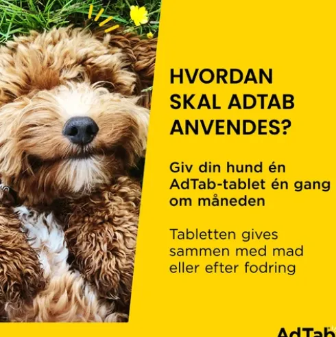 AdTab til hunde 5,5 til 11 kg