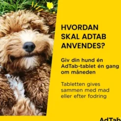 AdTab til hunde 2,5 til 5,5 kg