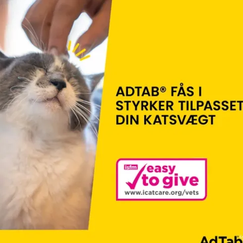 AdTab til katte 2 til 8 kg.