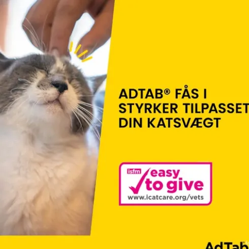 AdTab til katte 0,5 til 2 kg.
