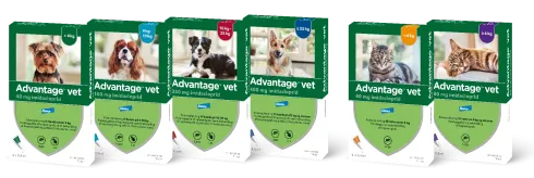 Advantage vet. til hunde på 10-25 kg