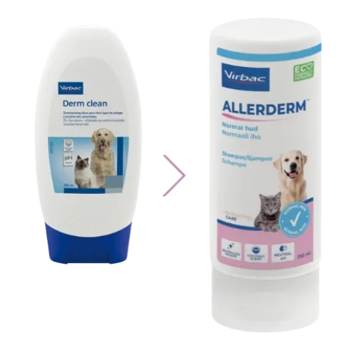 Allerderm Normal Hud Shampoo