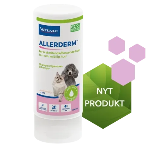 Allerderm Tør Hud Shampoo