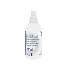 AntiSept klorhexidin spray