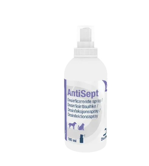 AntiSept klorhexidin spray