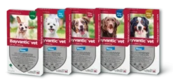 Bayvantic vet til hunde 40-60 kg