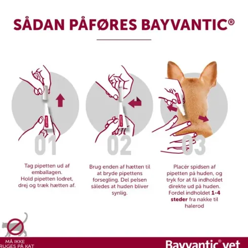 Bayvantic vet til hunde under 4 kg