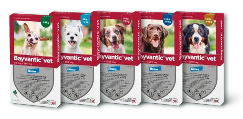 Bayvantic vet til hunde under 4 kg