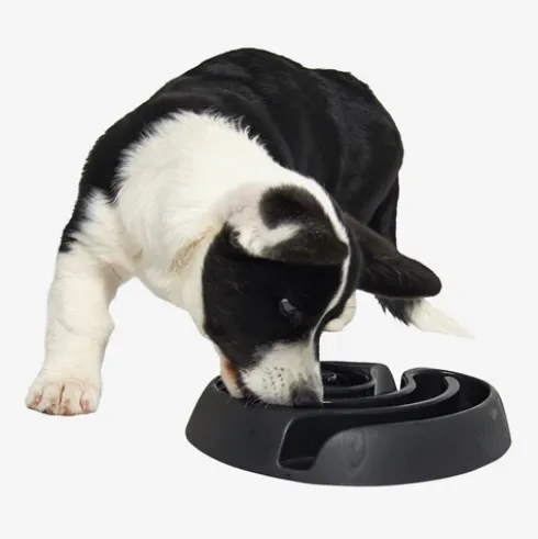 BUSTER DogMaze, sort