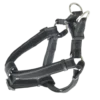 BUSTER Reflective Mesh Step-in sele, Sort