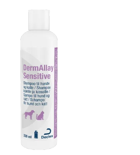 DermAllay Sensitive Shampoo