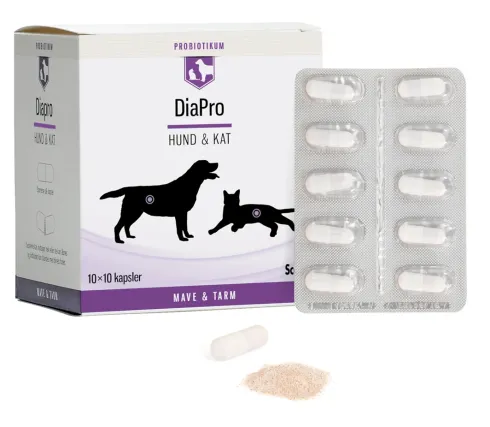 Diapro Hund & Kat