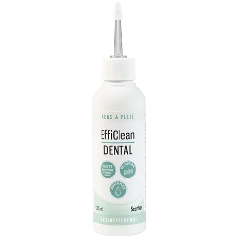 EffiClean Dental