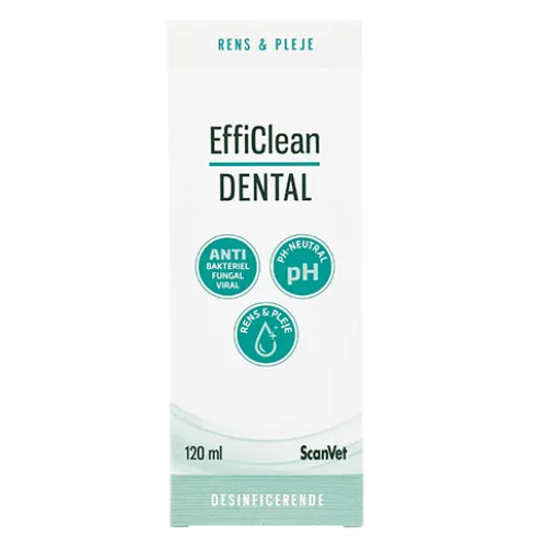 EffiClean Dental