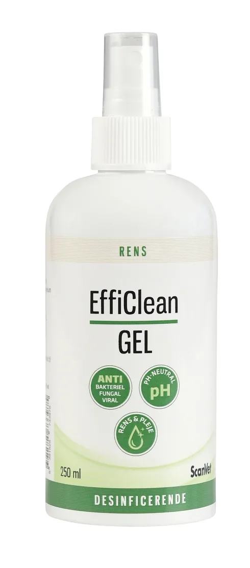 EffiClean Gel 250 ml
