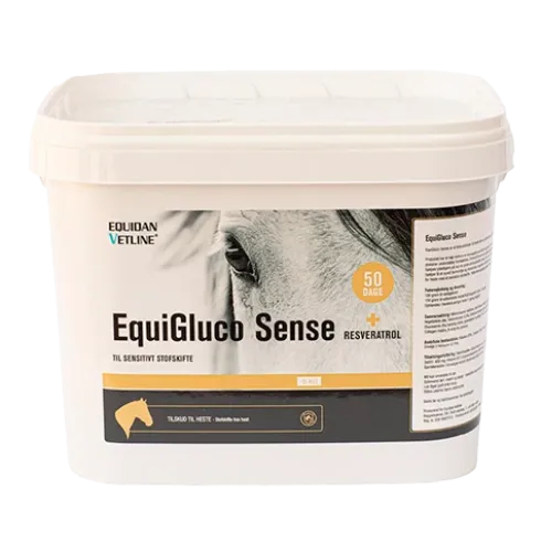EquiGluco Sense
