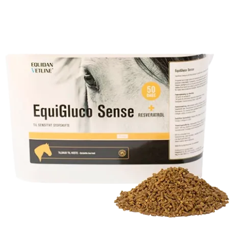 EquiGluco Sense
