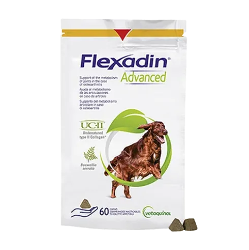 Flexadin Advanced Hund