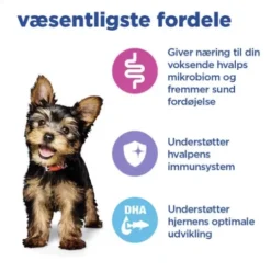 Hill's VetEssentials Multi-Benefit Puppy, Small & Mini, hvalpefoder