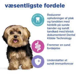 Hill's VetEssentials Small & Mini Adult, Dental, Chicken