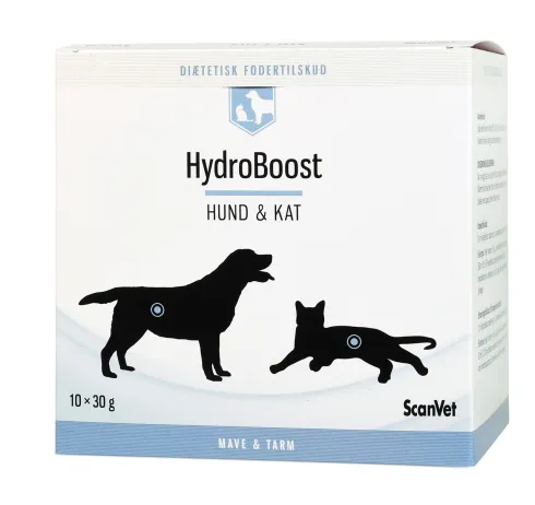 HydroBoost