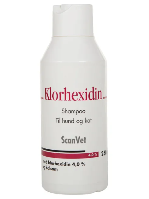 Klorhexidin shampoo 4%