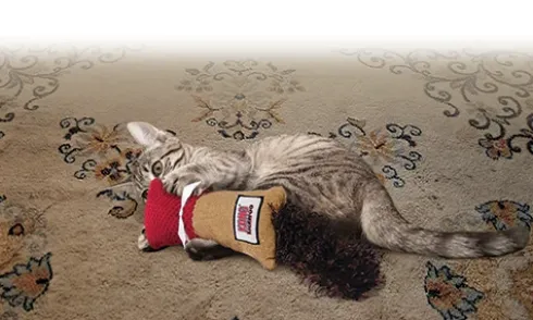 KONG Kickeroo Cuddler