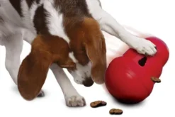 Kong Wobbler