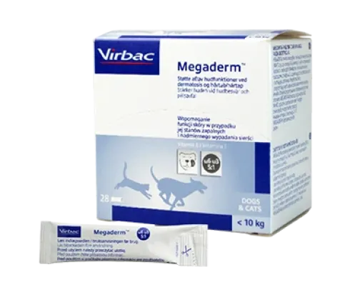 Megaderm