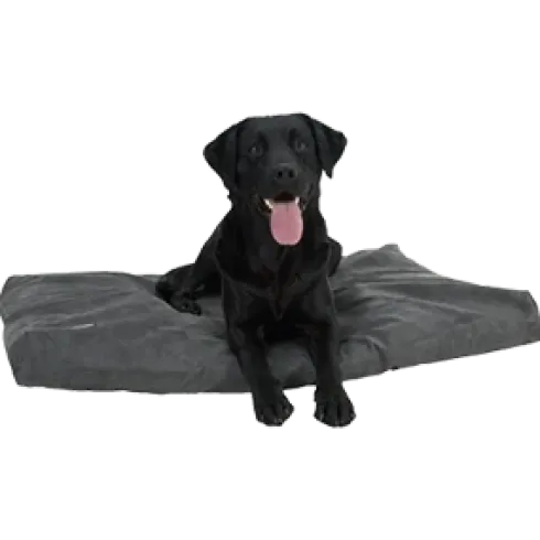 Memory Foam hundeseng, grå