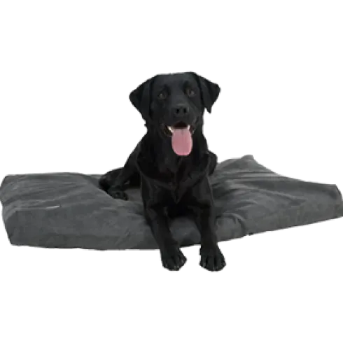 Memory Foam hundeseng, grå