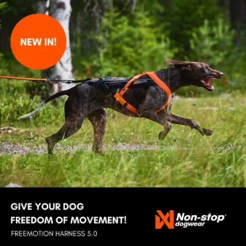 Non-stop Dogwear Freemotion Harness 5.0