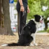 Non-stop Dogwear Move Leash, Black