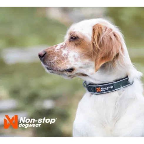 Non-stop Dogwear Roam Collar, Black
