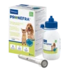 Pronefra