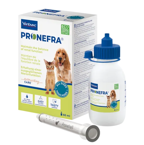 Pronefra