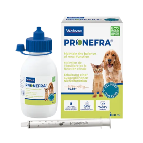 Pronefra