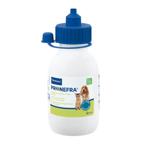 Pronefra