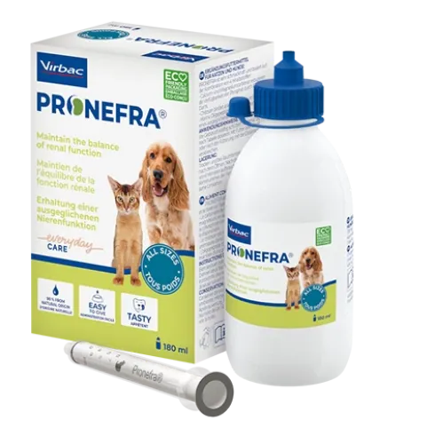 Pronefra