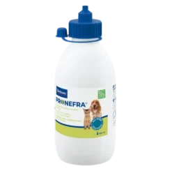 Pronefra