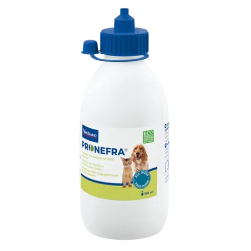 Pronefra