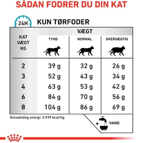 Royal Canin Anallergenic tørfoder til kat