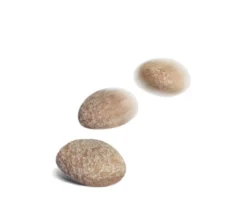 Royal Canin Hypoallergenic Treats til hund
