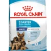 Royal Canin Maxi Starter, Mother & Babydog tørfoder