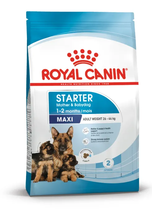 Royal Canin Maxi Starter, Mother & Babydog tørfoder