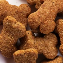 SPECIFIC CT-H Healthy Treats