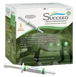 SUCCEED DC Paste