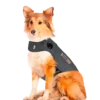 Thundershirt, grå