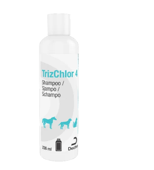 TrizChlor4 Shampoo